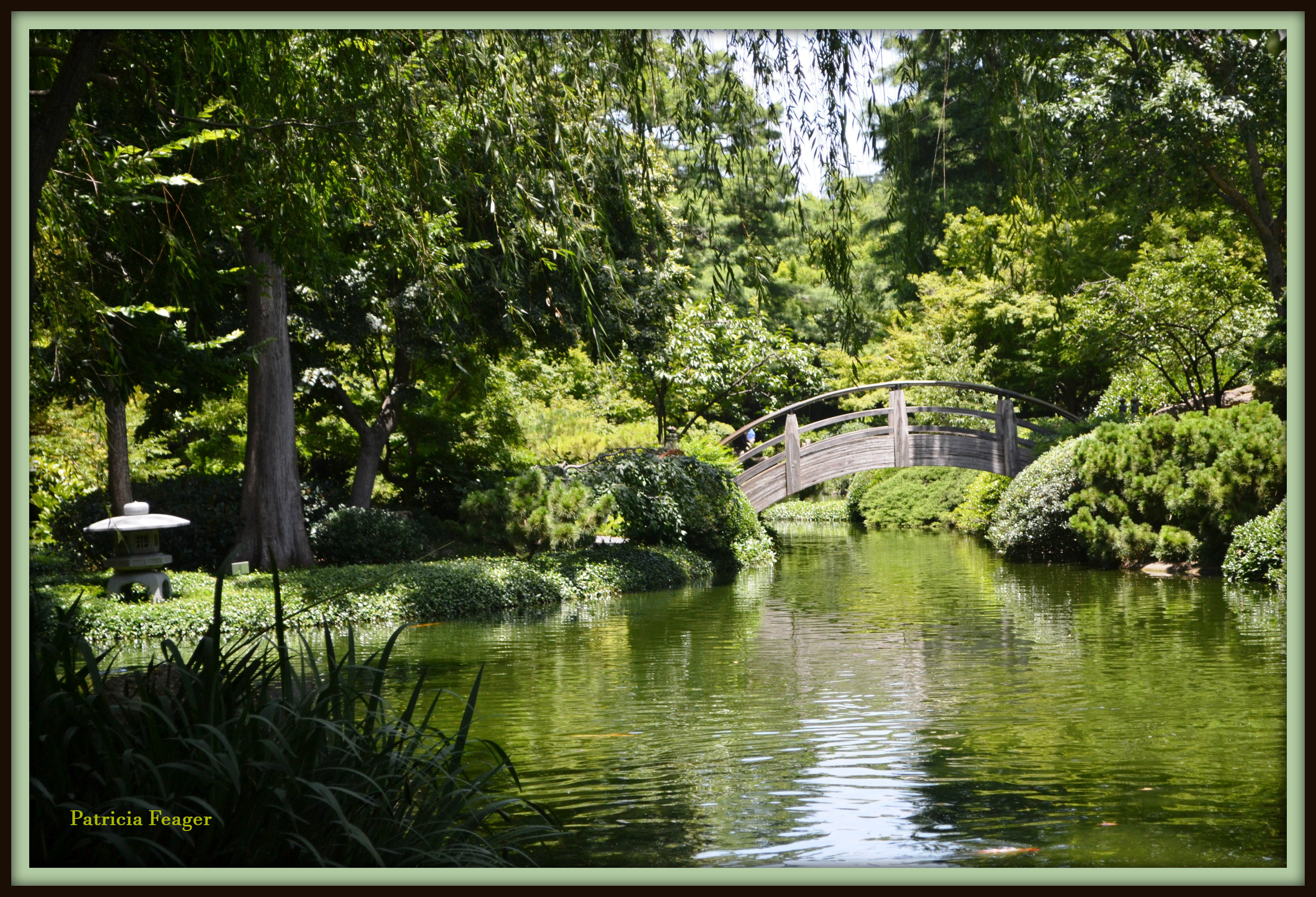 Japanese Gardens Fort Worth